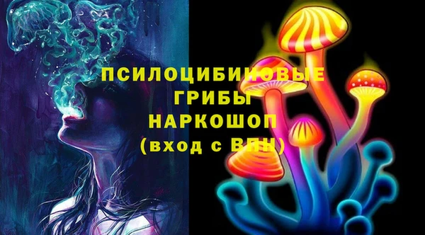 ПСИЛОЦИБИНОВЫЕ ГРИБЫ Лиски