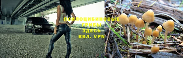 круглые Ладушкин