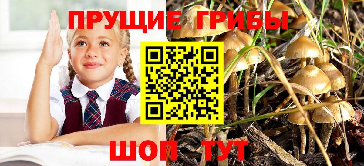 Галлюциногенные грибы ЛСД Самара